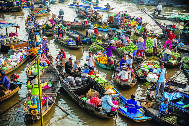 Mekong Delta