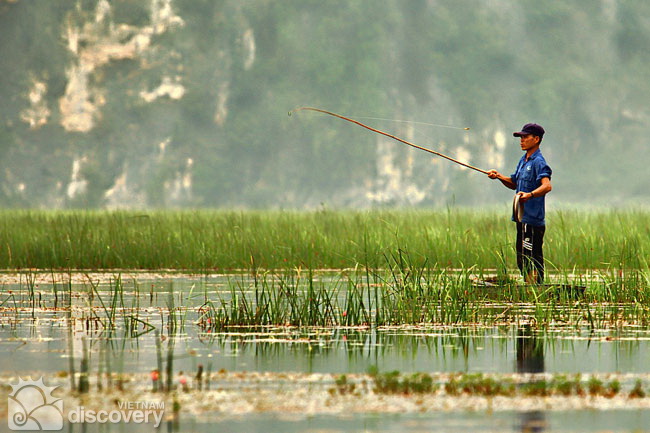 Fishing in Van Long Nature Reserve Ninh Binh - Short trip from Hanoi