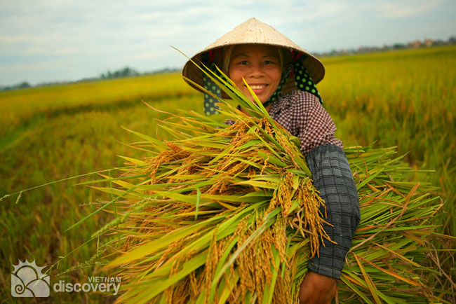 Friendly Vietnamese Farmer - Vietnam Farming Tour