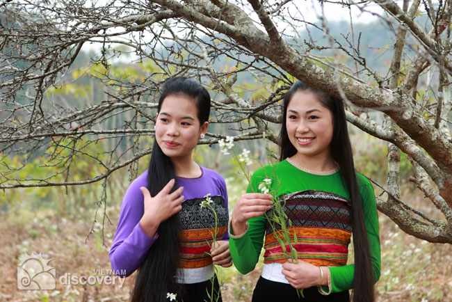 Beautiful local girls in Moc Chau, Son La - Moc Chau tour