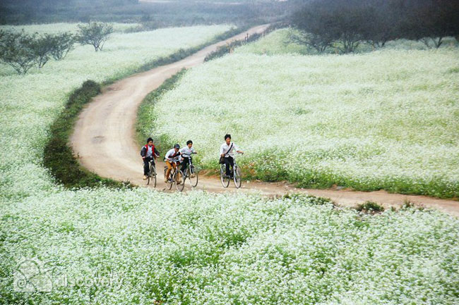 Moc Chau Son La  in Autumn - Moc Chau Tour