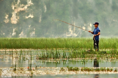 Fishing in Van Long Nature Reserve Ninh Binh - Short trip from Hanoi