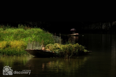 Van Long in harvest season - Farming day in Van Long Nature Reserve in Ninh Binh