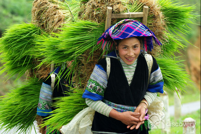 Vietnam ethnic minority portrait Sapa in Vietnam - Sapa travel