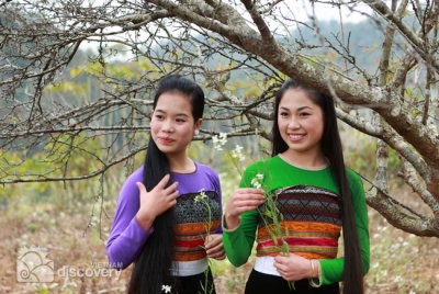 Beautiful local girls in Moc Chau, Son La - Moc Chau tour