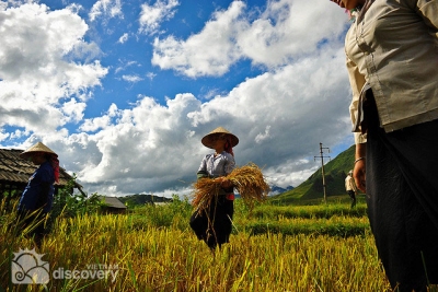 Pu Luong Nature Reserve in harvest day - Short tour from Hanoi