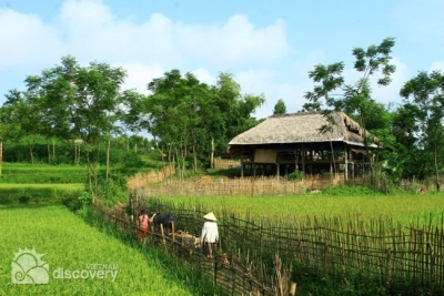 Vu Linh Ecolodge in Yen Bai Province - Travel in Vietnam