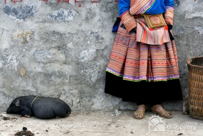 Traditional customes of H'mong ethnic women in Sapa - Vietnam Northwest Tour