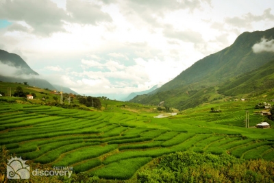 Green terraced paddy fields in Sin Chai Village of Sapa - Vietnam Northern tour