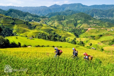 Picturesque Sapa Vietnam- Sapa Tours