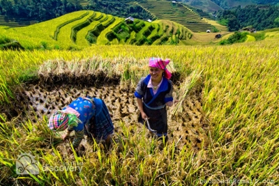 Hill tribes in Sapa Vietnam - Sapa trekking tour