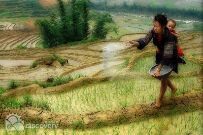 Normal working life in Muong Hoa Valley - Sapa day tours