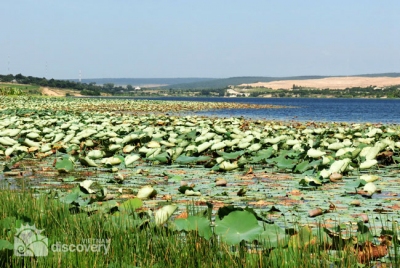 White Lotus Lake in Mui Ne - Vietnam beach tour