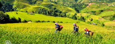 Vietnam Northern highlight tour - Promotion May