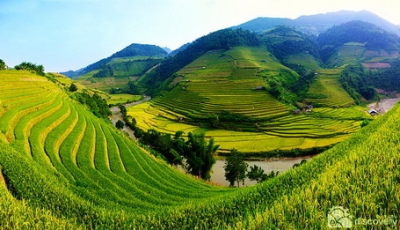 Sapa in harvest season in Vietnam northwest