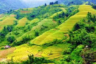 Terrace fields in Vu Lung Sung Hamelet - Sapa Vietnam Northwest