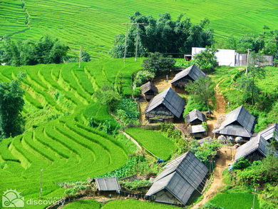 Terrace fields in Bac Ha- Sapa tours