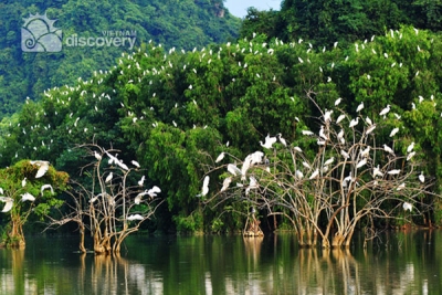 Thung Nham bird sanctuary Trang An - Tours from Hanoi