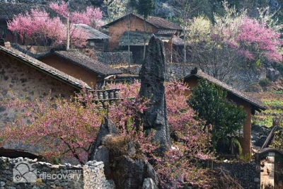 Beautiful spring flower season Vietnam Northwest Tour