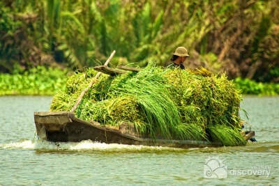 Life along Saigon River - Cu Chi Tunnels speedboat tour