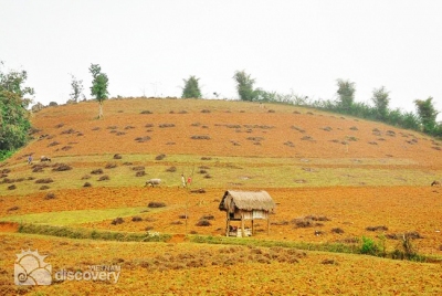 Paddy hill in Ngoc Son Ngo Luong Nature Reserve - Tours in Vietnam