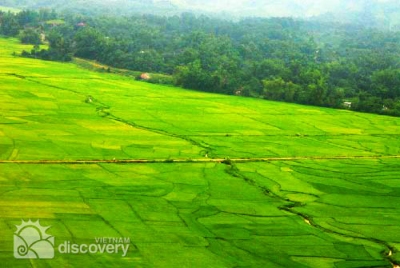 Immense Muong Thanh paddy field in Dien Bien - Vietnam Northwest Tour