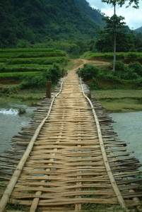 Road into Pu Luong Nature Reserve - Short trip from Hanoi
