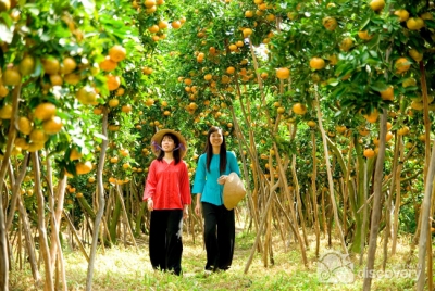 Walking in the fruit orchards - Mekong Delta Tour